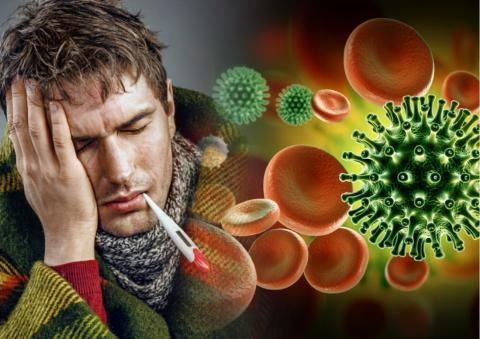 Как вирусы делают нас больными