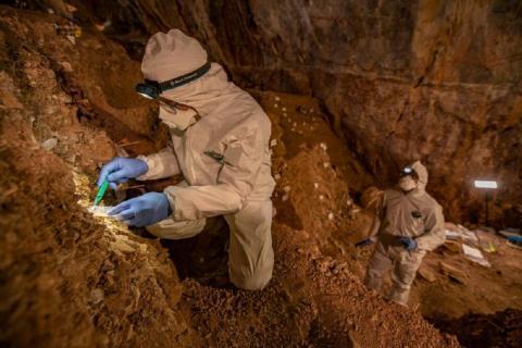 В Мексике найдены артефакты 30-тысячелетней давности, принадлежащие неизвестным народам