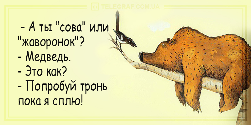 Сова или жаворонок. Сова и Жаворонок. Про Жаворонков и сов. Есть Совы есть Жаворонки а есть.