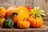 Осенний продукт для похудения
