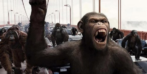 Приматы лютуют... или обезьянья математика...