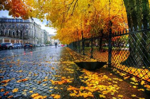 Прогноз погоди в Україні на 8 жовтня