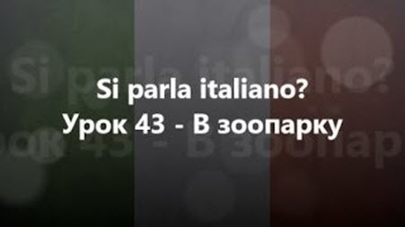 Італійська мова: Урок 43 - В зоопарку