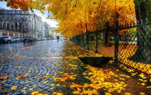 Прогноз погоди в Україні на 29 жовтня