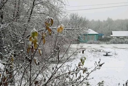 Прогноз погоди в Україні на 16 листопада