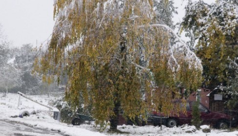 Прогноз погоди в Україні на 18 листопада