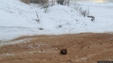 В Иркутской области дорогу посыпали от гололёда человеческими останками