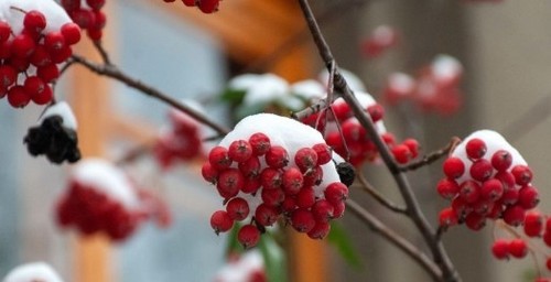 Прогноз погоди в Україні на 2 грудня