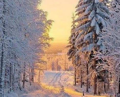 Прогноз погоди в Україні на 3 грудня
