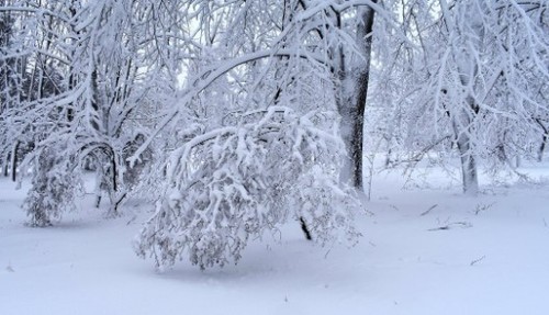 Прогноз погоди в Україні на 30 січня