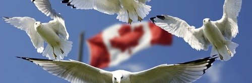Канада и Украина заключили новое соглашение по расширению иммиграции
