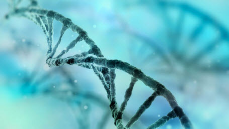 Ученые утверждают, что впервые полностью расшифровали человеческий геном
