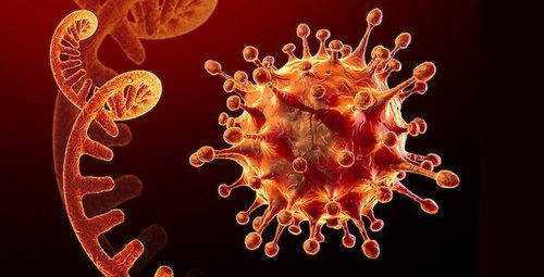 Focus: Победить коронавирусы навсегда? Ученые работают над созданием супервакцины