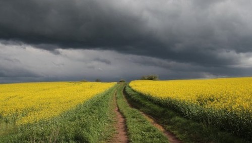 Прогноз погоди в Україні на 20 серпня 2021 року