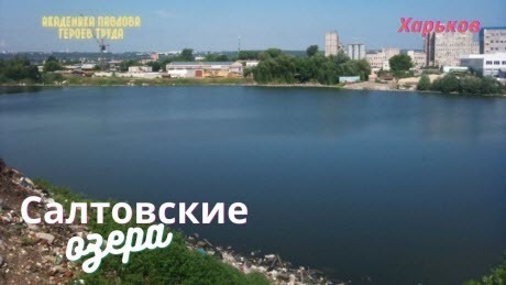 Оазисы природы Салтовского жилмассива в городе Харьков