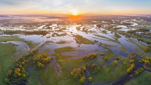 Без Полісся: як Україна може втратити регіон через водний шлях E40