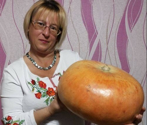 "Ситуация в ОРДЛО: хлеба нет, несите зрелища!" - Олена Степова