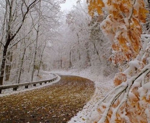 Прогноз погоди в Україні на 20 листопада 2021 року