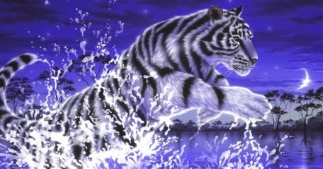 С кем и в чем встречать Год Водяного Тигра