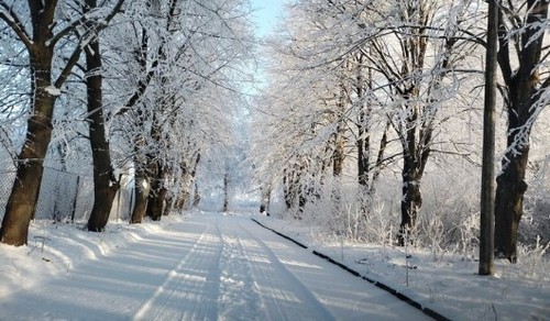 Прогноз погоди в Україні на 16 січня 2022 року