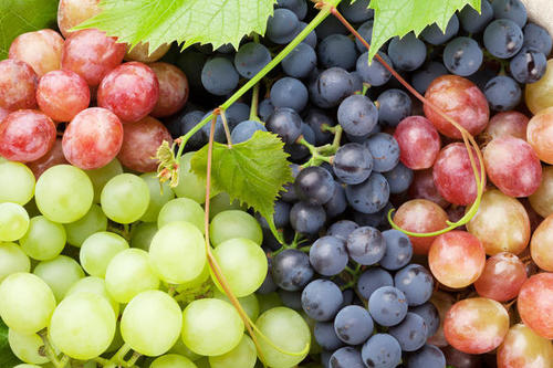 Повышаем урожайность винограда: секреты, о которых мало кто знает