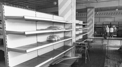 ГОЛОД-ХОЛОД-ГИПЕРОК ИЛИ КАК АЗИАТЫ МАРОДЕРЯТ РФ