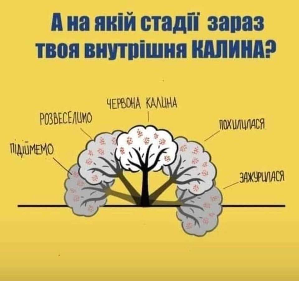 Image: https://spektrnews.in.ua/img/2022/09/1662/166215_960xx_.jpg
