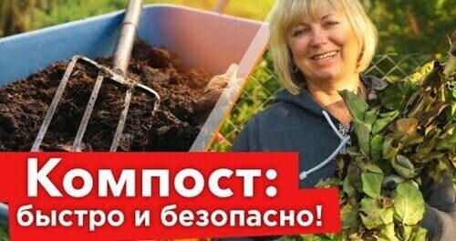 БОЛЬНАЯ БОТВА И ЛИСТЬЯ ЗА ЗИМУ ПРЕВРАТЯТСЯ В ОТЛИЧНЫЙ КОМПОСТ, если пролить их таким раствором!