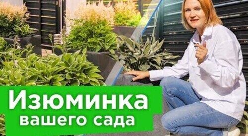 МНОГОЛЕТНИЕ РАСТЕНИЯ В КОНТЕЙНЕРАХ: декоративны круглый год, придают объем и особый шарм саду