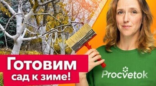 НЕ ПРОПУСТИТЕ! 7 САМЫХ ВАЖНЫХ РАБОТ В САДУ перед зимой, о которых нельзя забывать!