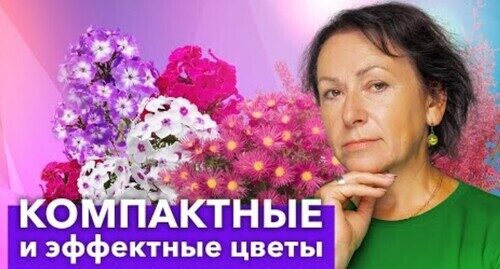 ШИКАРНЫЕ НИЗКОРОСЛЫЕ МНОГОЛЕТНИЕ ЦВЕТЫ, которые стоит посадить в 2024 году!