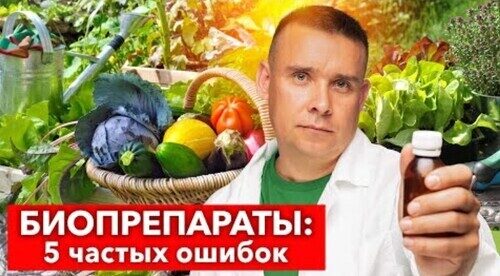 “ВСЁ ВЫ ВРЕТЕ - БИОПРЕПАРАТЫ НЕ РАБОТАЮТ!” Биолог рассказал, почему нет эффекта от биопрепаратов