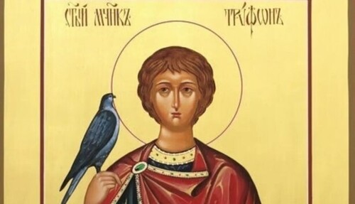 1 лютого - День мученика Трифона; святих преподобних Петра і Вендиміана: Прикмети та забобони