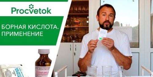 Борная кислота. Правила подкормки бором для томатов, яблони и иных растений