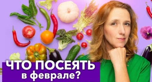 КАЖДЫЙ ГОД СЕЮ ЭТИ ОВОЩИ И ЦВЕТЫ В ФЕВРАЛЕ - и всегда с отличным и ранним урожаем!