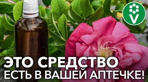 Аптечное лекарство от всех БОЛЕЗНЕЙ РОЗ!