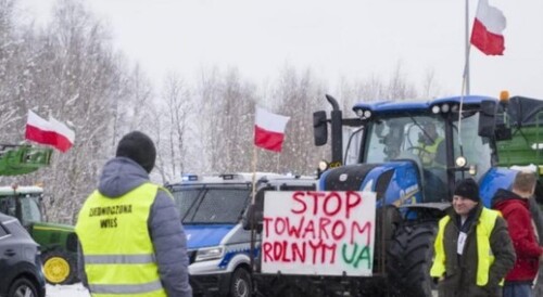 За рік до Польщі було ввезено 12 млн тонн зерна з РФ, а з України лише – 4,3 млн тонн – ЦПД