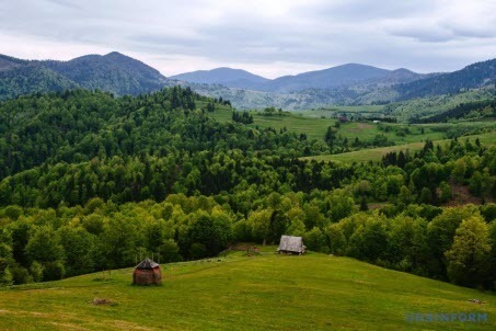 "Чому в українському Закарпатті не розуміють української й чому нема українців в Угорщині?" - Інна Логан