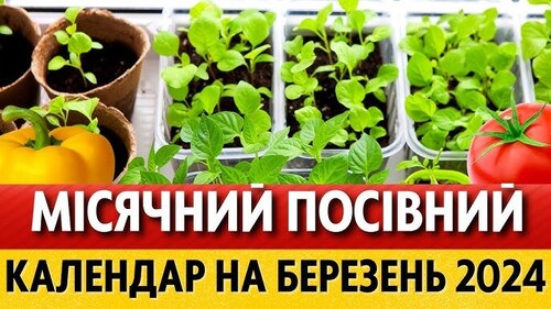 Місячний календар садівника-городника на березень 2024 року