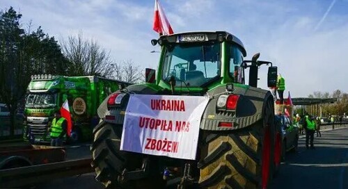 Як Польща та її фермери заробляють на експорті до України під час війни - Rzeczpospolita