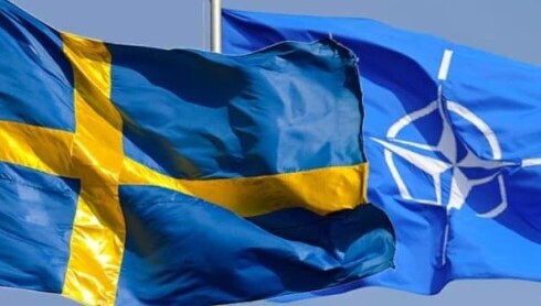 "Жовто-синій прапор в НАТО. Поки не наш" - Валерій Пекар