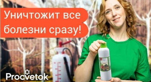 ПЕРВАЯ И САМАЯ ВАЖНАЯ ОБРАБОТКА САДА ВЕСНОЙ от болезней! Вот чем лучше всего опрыскать сад в марте