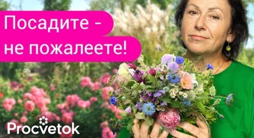 5 ЦВЕТОВ, КОТОРЫЕ ОБЯЗАТЕЛЬНО ДОЛЖНЫ РАСТИ В КАЖДОМ САДУ!