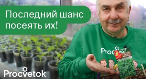 УСПЕЙТЕ ПОСЕЯТЬ ЭТИ ОВОЩИ ДО 10 МАЯ, иначе хорошего урожая не ждите!