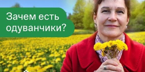 ЭТОТ СОРНЯК ЗАМЕНИТ ВАМ ЦЕЛУЮ АПТЕКУ! Растет везде, а мы и не знаем его невероятной пользы