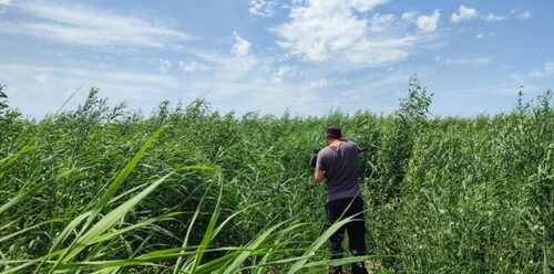 Природа відновлюється, а люди потерпають. Чи слід відбудувати Каховську греблю