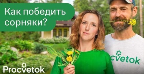 Секреты чистого огорода и полезного компоста