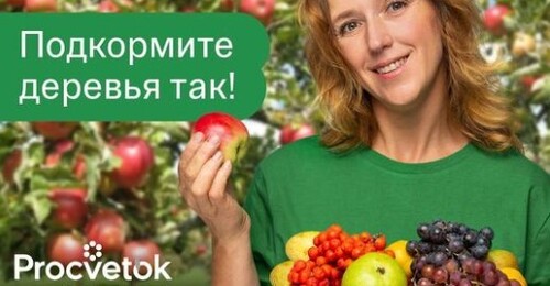 ЯБЛОНИ И ГРУШИ БУДУТ ЛОМИТЬСЯ ОТ УРОЖАЯ после такой подкормки во второй половине лета!