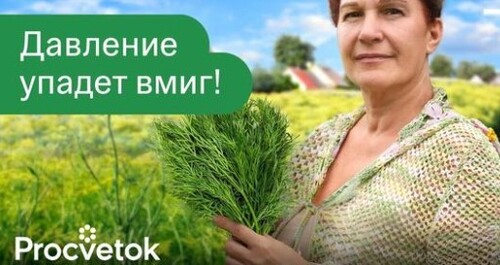 КАК СНИЗИТЬ ДАВЛЕНИЕ ПРИ ПОМОЩИ... УКРОПА? А еще убрать отеки, вздутия живота и зрение улучшить