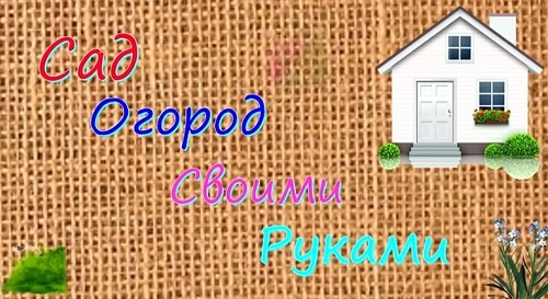 ПОМИДОРЫ - ОТ ПОСЕВА ДО УБОРКИ В ОДНОМ ВИДЕО! Как вырастить отличные помидоры?